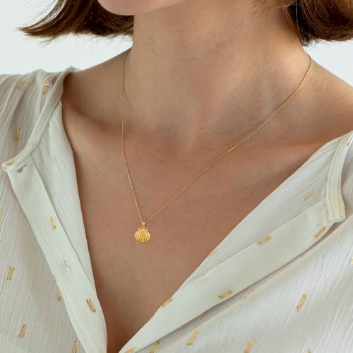 Seashell Locket Necklace 925 Sterling Silver That Holds Pictures Sea Shell Photo Locket Pendant Necklaces Nautical Beach Seashell jewelry for Women2