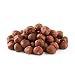 NUTS U.S. - Oregon Hazelnuts (Filberts) | Raw and Unsalted | Steam Pasteurized and NON-GMO | No Shell - Just Kernels | JUMBO SIZE | Packed in Resealable Bags!!! (1 LB)