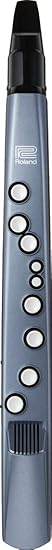 Roland AE-01 Aerophone mini | Compact Digital Wind Instrument | Easy-to-Learn | 6 High-Quality Onboard Tones | Built-in Speaker | Headphone Connectivity | Bluetooth Enabled