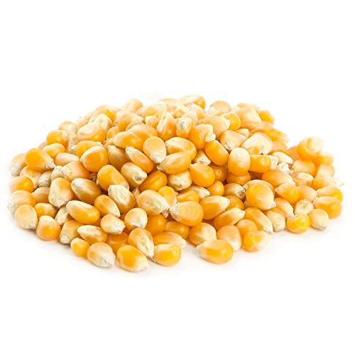 Siddhi Popcorn Kernels/Corn Kernels/Mikki/Maize Seeds 500 GM-image-0