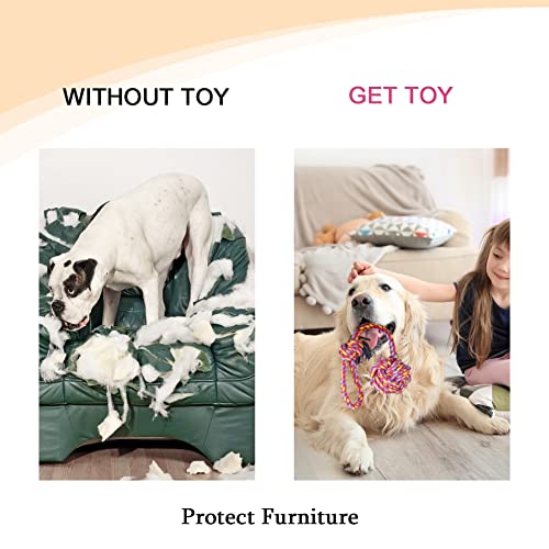 Vivifying Hundespielzeug Seil mit Ball, 2 Stück Interaktive Geflochtene Baumwolle Hundeseil Knoten für Hunde Zähne Reinigung