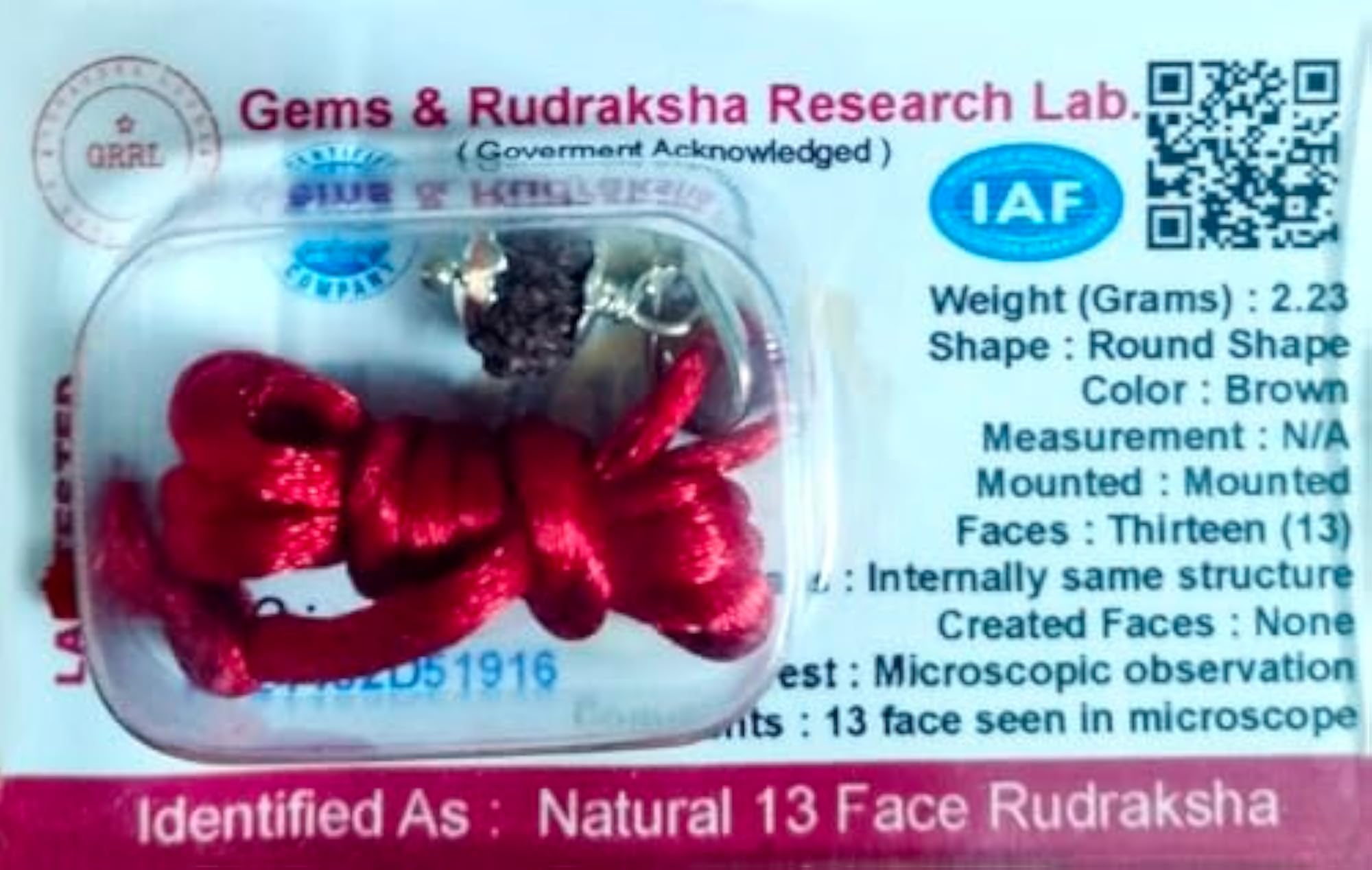 13 Mukhi Nepali Rudraksha, Certified Quality