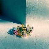 �N�̍� / Foi