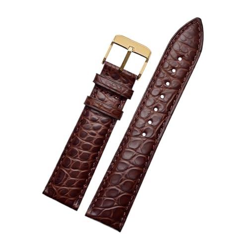 [RWUXCYNTP] 12-22mm �A���Q�[�^�[/���j�v���v�o���h - �u���b�N/�u���E��/�u���[�̍����X�g���b�v�A�����b�N�X����т����鎞�v�u�����h�ƌ݊���������܂��B(Black Green,19mm)