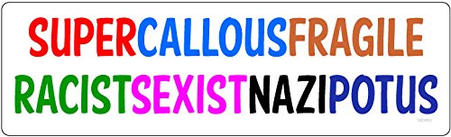 Bumper Planet - Car Magnet - Supercallousfragileracistsexistnazipotus, Anti-Trump - 3 x 10 inch - Professionally Made in USA