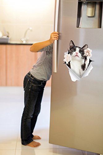 Stickers Frigo Winston & Bear Autocollants Chat Uraux 3D - Paquet De 2