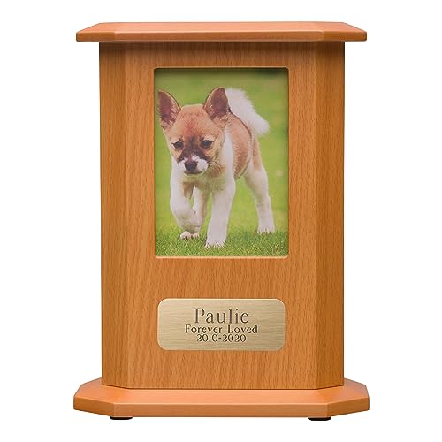 Best Friend Services Custom Pet Memorial Urns for Dog or Cat Ashes, Photo Pet Urn & Engraved Brass...