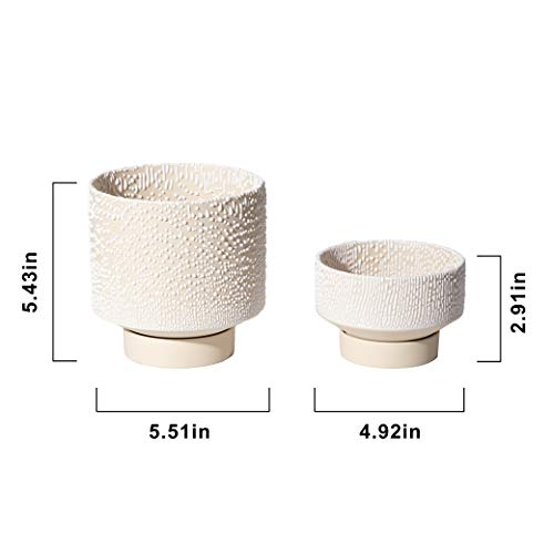 Ubee Planter Ceramic Flower Pot For Indoor Plants | 5.5 Inch + 4.9 Inch Plant Pots With Drainage Hole And Saucer For Aloe, Snake Plants, Pothos, Orchid, Beige With White Glaze Dot #TOP5