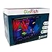 GloFish Crescent aquarium Kit 3 Gallons, Includes Hidden Blue LED Light And Internal Filter