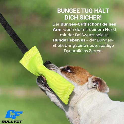 Bull Fit Bungee Beisswurst für Hunde, 25 cm mit Handschlaufe - Sehr Robustes Hundespielzeug zum Training, Tauziehen und Zerrspiele mit Hund - Aus hochwertigem Feuerwehrschlauch handgefertigt