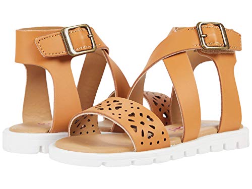 Rachel Kids Girl's Lil Jessica (Toddler/Little Kid)