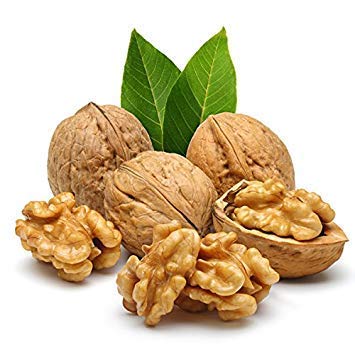 3 pz/borsa semi di noce sempreverde organico non-ogm delizioso frutto dado albero in vaso pianta nutriente per la decorazione del giardino