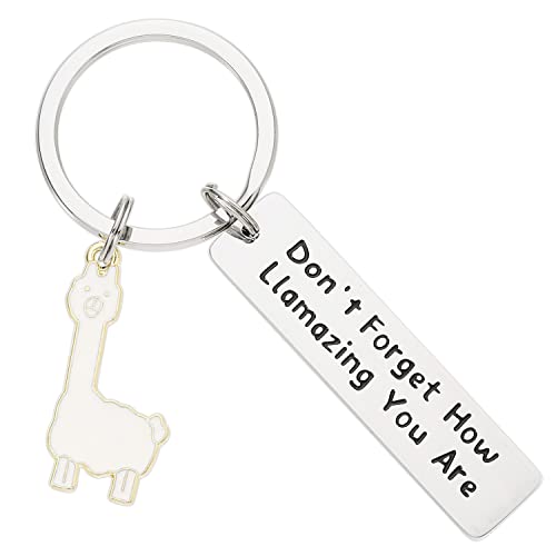 HUTIMY Llama Keychain Gift Don't Forget How...