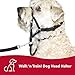 Coastal Pet Walk 'n Train Dog Head Halter - Head Colllar Dog Leader - No-Pull Pet Harness - Quick-Drying Polyester - Black - Medium