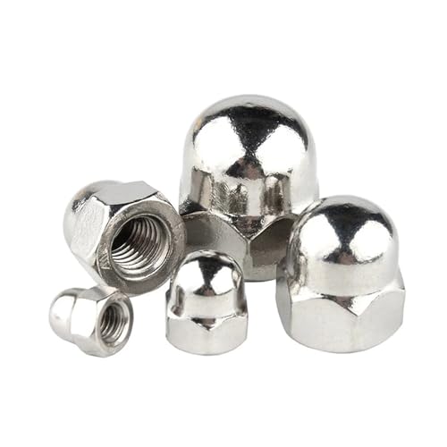 1�`50�� M3 M4 M5 M6 M8 M10 M12 M14 M16 M18 �G�C�R�[���L���b�v�i�b�g 304 201 �X�e�����X�X�`�[�� �����h�[���L���b�v�i�b�g �u���C���h�i�b�g(304 Stainless Steel,M12 (5PCS))