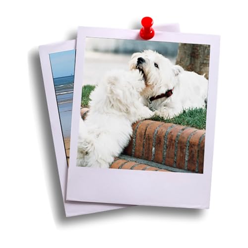 TXIMIS Gift Revelado de Fotos Retro o Estilo Polaroid Pack 15 fotos. Imprimir Fotos Online controlando todo el proceso ideal para Album de Fotos