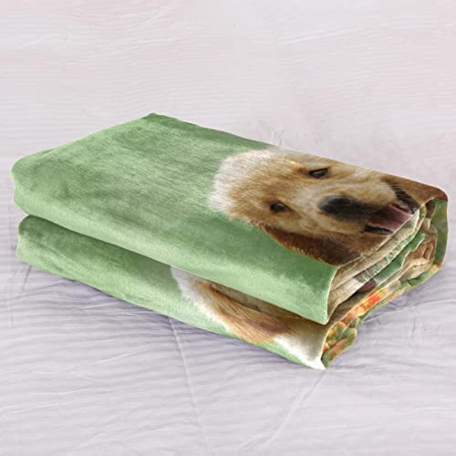 Couvre-lit chien retriever d'or TBOUOBT couverture douce pour lit - 3