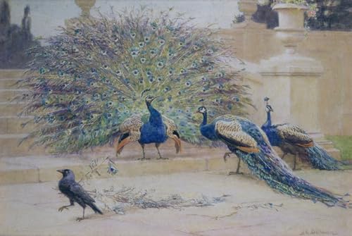 Tableaux Graffiti Art Mural Impression Poster Peinture Moderne Charles Dollman 60x90