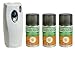COPYR | Kenyatrin Safe 250ml 3 Bombolette a base di PIRETRO + Erogatore automatico COPYRMATIC zanzare mosche
