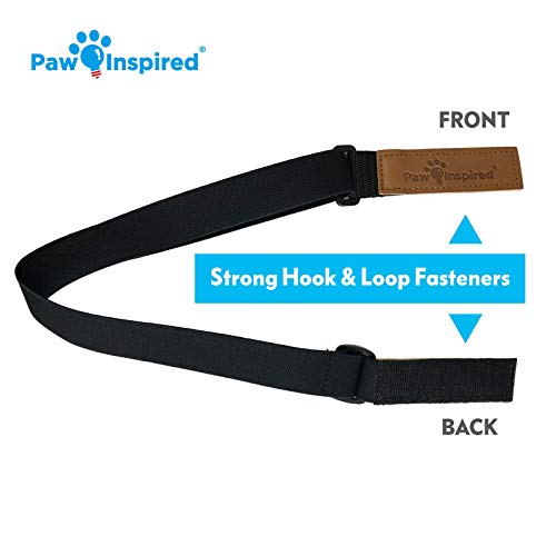 Image of Paw Inspired Dog Diaper Suspenders, Hook & Loop Fasteners, XS /Small, Black | Stretchy Adjustable Straps, Velcro Closures, For Female and Male Disposable and Washable Diapers
