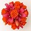 Orange & Pink