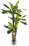 Para conseguir un efecto muy similar a la bananera natural y de gran calidad, utilizamos los mejores materiales en su elaboración (fabricación propia por expertos en la materia).