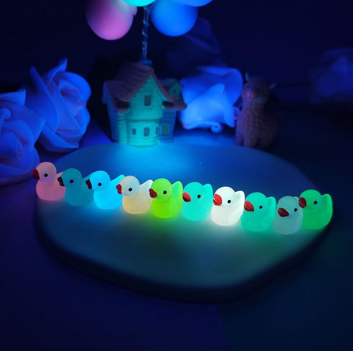100pcs Mini Resin Black Duck,15 mm Dollhouse Décor Glow in The Dark for Aquarium Decor Micro Fairy Garden Landscape Hide,Seek Party Toys,Easter Basket Stuffer - Image 3