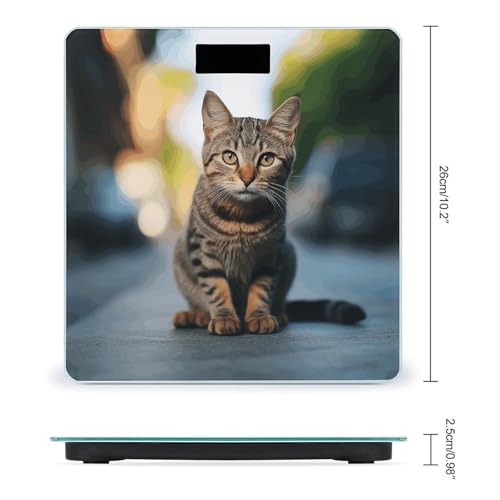 Báscula digital para baño diseño Brown Tabby Kitten miniatura 2