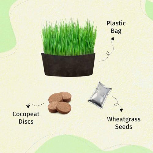 Image of Pawfect Cat Grass Growing Kit with Planter - 2 Plastic Grow Bags, 4 Coco Peat Discs & Wheatgrass Seeds | Ideal for Indoor Cats, Aids Digestion & Reduces Hairballs | Easy-to-Grow