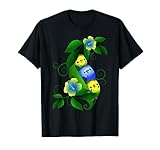 Perruches, oiseaux d'ornement, perruches, ondulées, anniversaire, perruches, oiseaux, nourriture pour oiseaux, oiseaux d'ornement, perruches dans un pois, perruches bleues, couleurs sauvages