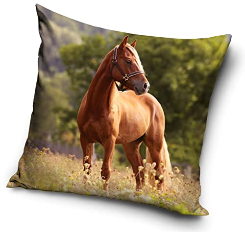 Pferde Fohlen Motiv Kissenhülle Kissenbezug 40x40 cm (PNL214103) Pferde Fohlen Motiv Kissenhülle Kissenbezug 40x40 cm (PNL214103)