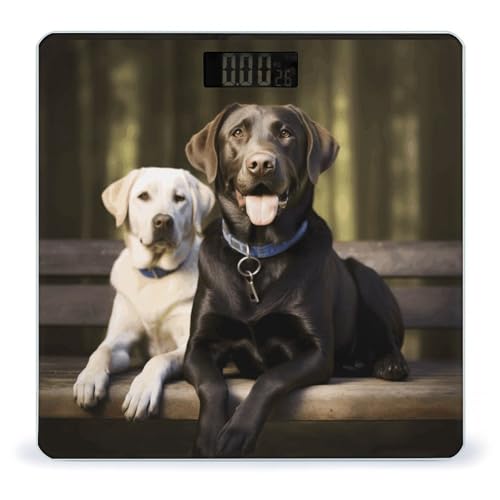 Báscula Digital Labrador Smart Body Weight 180kg