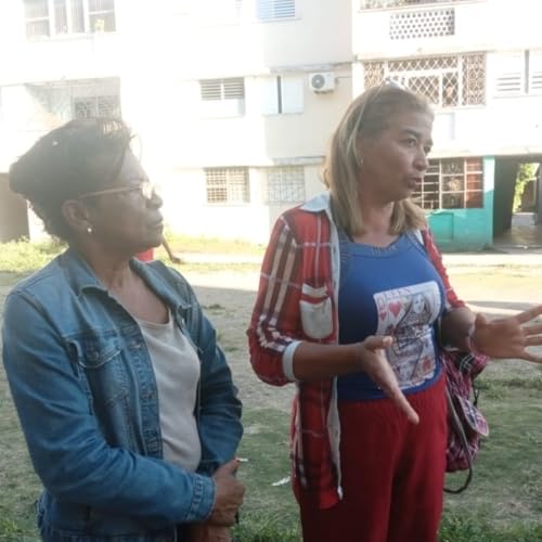 Declaraciones de los miembros de los CDR en el reparto Antonio Guiteras