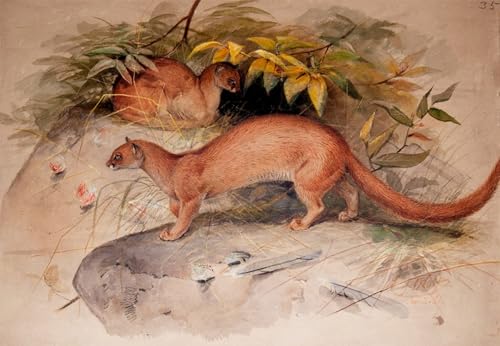 Impression sur toile Eyra de Wolf toile moderne pour créer un salon chaleureux et cosy