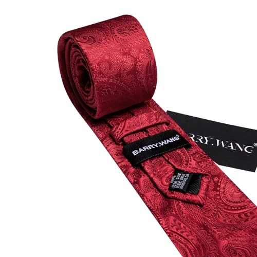 Image of Barry.Wang Paisley Tie for Men Silk Woven Necktie and Tie Clip Set Wedding Party Business Formal