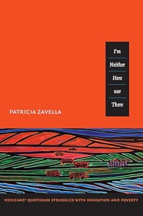 I'm Neither Here nor There: Mexicans’ Quotidian Struggles with Migration and Poverty book cover