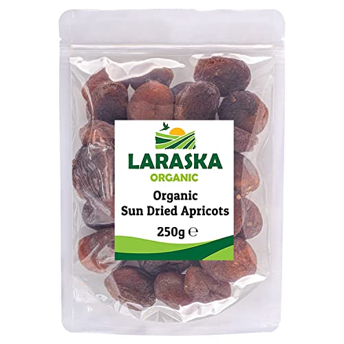 Dried Apricots 48oz No Sugar No Sulfur Where to Buy it at the Best