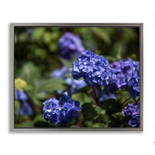 'Purple Hydrangea Photography'| Floating Frame Canvas Art