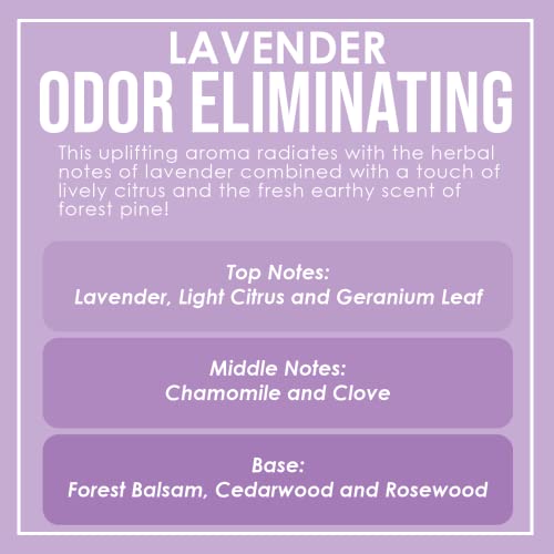 Odor Eliminating Highly Fragranced Candle - Eliminates 95% Of Pet, Smoke, Food, And Other Smells Quickly - Up To 80 Hour Burn Time - 12 Ounce Premium Soy Blend (Lavender) #TOP4