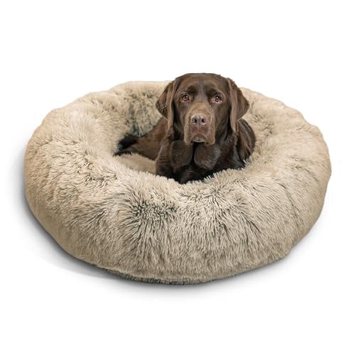 Llbean Dog Beds De 15 bästa produkterna jämfört Wild Explained