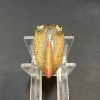 Amazon.co.jp: へドン ハイテール heddon hi-tail ハイテイル