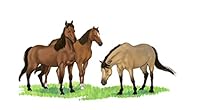 ADVENTURES AT GREEN APPLE ACRES BOOK FOUR 0989759105 Book Cover