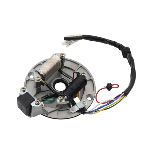 Bobina estator de encendido de 2 polos para motores magneto de DirtBike 50cc a 125cc