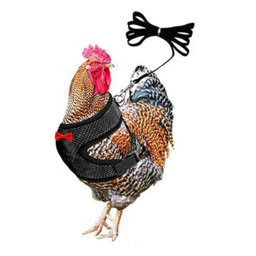 Chicken Harness and Leash Set Adjustment mesh Duck Harness VestBlack S