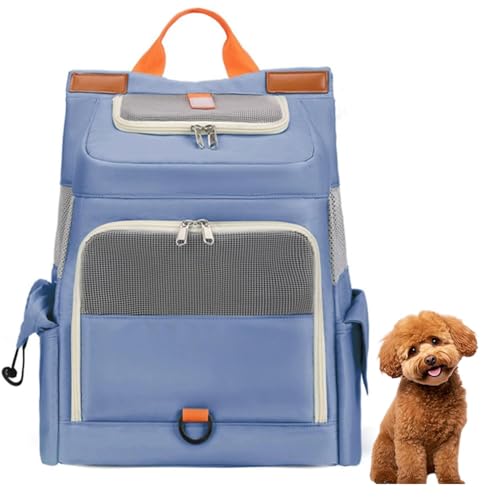 Lifetips^Cj[v[hiTiny PoodlejybgbN L[ ʋCbV J[et y ˃e[v яoh~ h  @\ bN^ybgL[ ^ ^ L s ʉ@ ] d [|Pbgt 