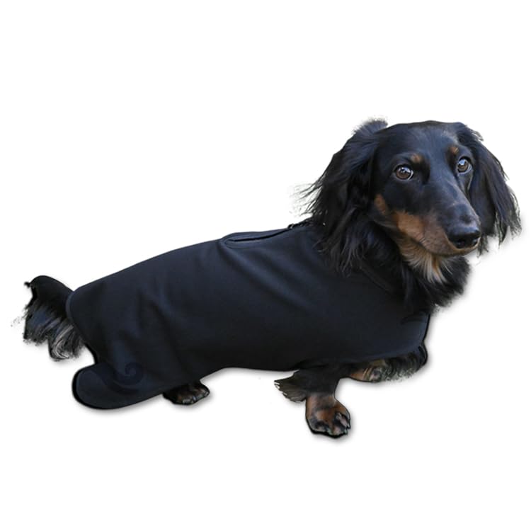 サラダページです　ダックスフンド　犬服　犬の服　ダックス Amazon | ダックスフンド ダックス 服 犬服 レインコート ドッグ