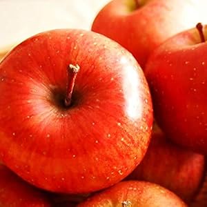 【訳あり】山形県産 リンゴ サンふじ 約5kg [ご家庭用りんご５キロ]