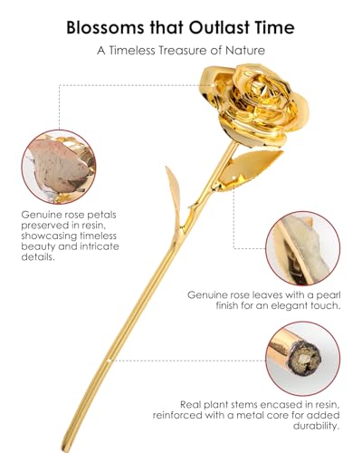 Image of 24K Gold Dipped Preserved Real Rose, Decorative Gift, Gold