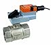 Belimo Aircontrols (Usa), Inc. Characterized Control Valve
