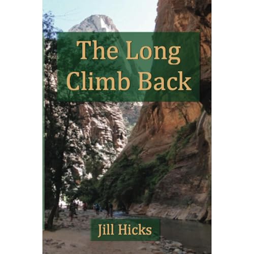 The Long Climb Back Audiolibro Por Jill Hicks arte de portada